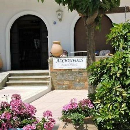 Alkyonides Beach Hotel Malia Eksteriør bilde